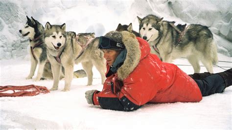 8 below fotos|Eight below hi